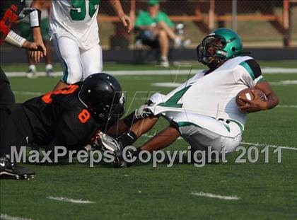 Thumbnail 1 in Tatum @ Gilmer photogallery.