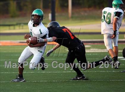 Thumbnail 2 in Tatum @ Gilmer photogallery.