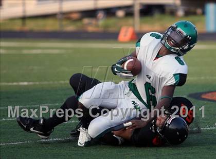 Thumbnail 1 in Tatum @ Gilmer photogallery.