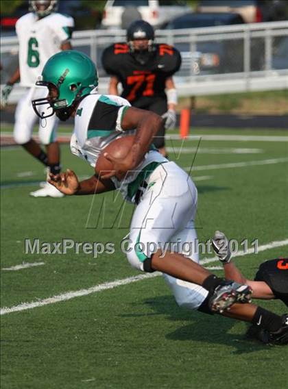 Thumbnail 2 in Tatum @ Gilmer photogallery.