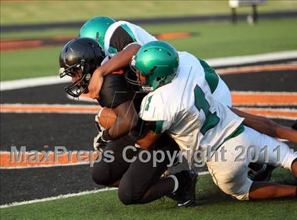 Thumbnail 3 in Tatum @ Gilmer photogallery.