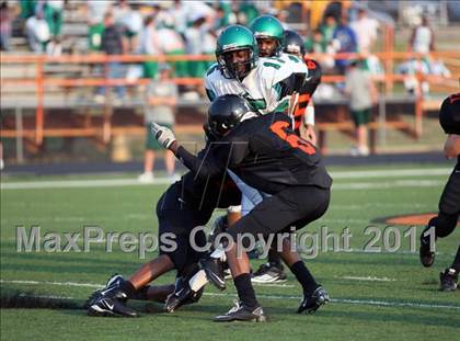 Thumbnail 2 in Tatum @ Gilmer photogallery.