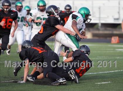 Thumbnail 1 in Tatum @ Gilmer photogallery.