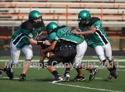 Thumbnail 2 in Tatum @ Gilmer photogallery.