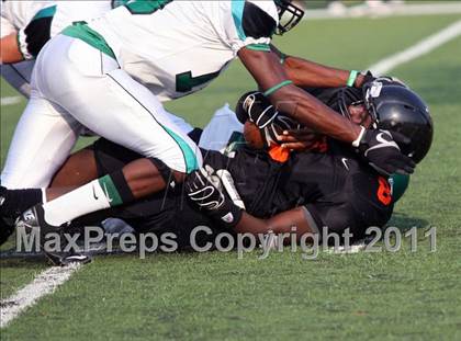 Thumbnail 1 in Tatum @ Gilmer photogallery.