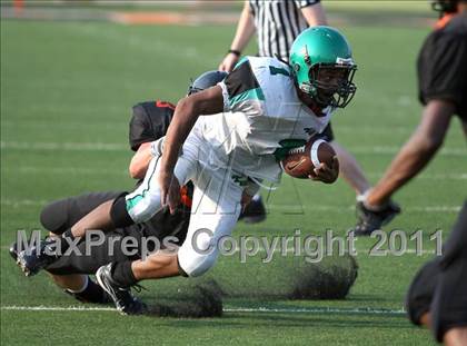 Thumbnail 3 in Tatum @ Gilmer photogallery.