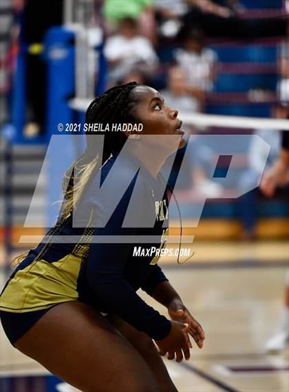 Thumbnail 1 in Boca Ciega @ Palm Harbor University photogallery.