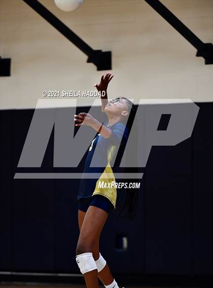 Thumbnail 1 in Boca Ciega @ Palm Harbor University photogallery.