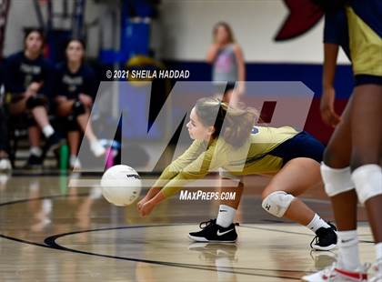 Thumbnail 3 in Boca Ciega @ Palm Harbor University photogallery.