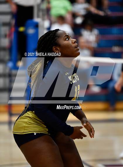 Thumbnail 3 in Boca Ciega @ Palm Harbor University photogallery.