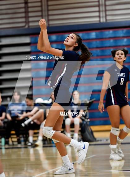 Thumbnail 2 in Boca Ciega @ Palm Harbor University photogallery.