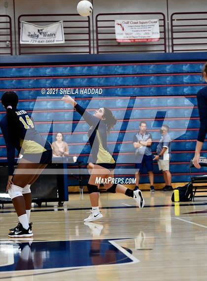 Thumbnail 3 in Boca Ciega @ Palm Harbor University photogallery.