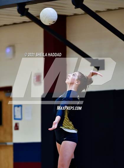 Thumbnail 3 in Boca Ciega @ Palm Harbor University photogallery.