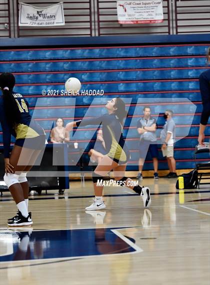 Thumbnail 1 in Boca Ciega @ Palm Harbor University photogallery.