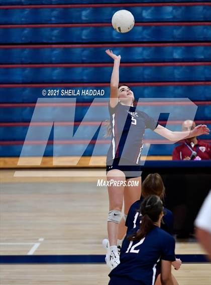 Thumbnail 2 in Boca Ciega @ Palm Harbor University photogallery.