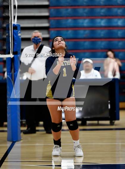 Thumbnail 1 in Boca Ciega @ Palm Harbor University photogallery.