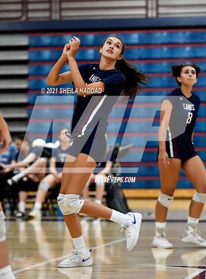 Thumbnail 3 in Boca Ciega @ Palm Harbor University photogallery.