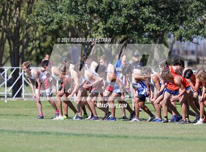 Thumbnail 1 in UIL Cross Country 6A Finals (5K) photogallery.