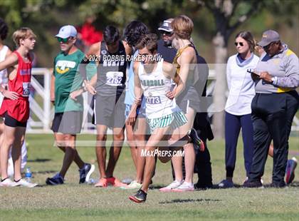 Thumbnail 2 in UIL Cross Country 6A Finals (5K) photogallery.