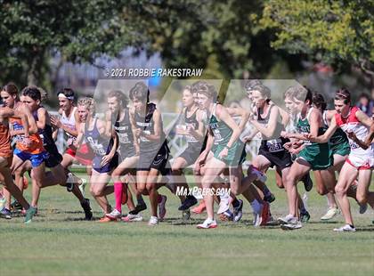 Thumbnail 1 in UIL Cross Country 6A Finals (5K) photogallery.