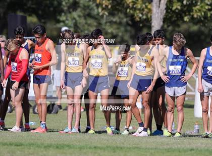 Thumbnail 2 in UIL Cross Country 6A Finals (5K) photogallery.