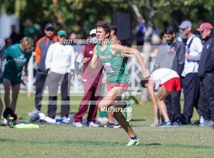 Thumbnail 3 in UIL Cross Country 6A Finals (5K) photogallery.