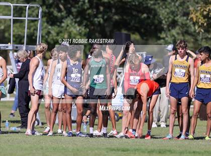 Thumbnail 3 in UIL Cross Country 6A Finals (5K) photogallery.