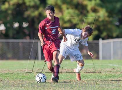 Thumbnail 2 in Bridgeton @ Absegami photogallery.
