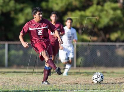 Thumbnail 2 in Bridgeton @ Absegami photogallery.