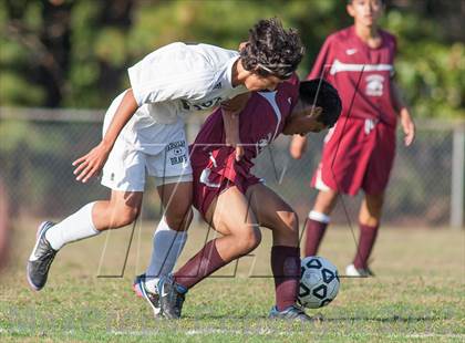 Thumbnail 2 in Bridgeton @ Absegami photogallery.