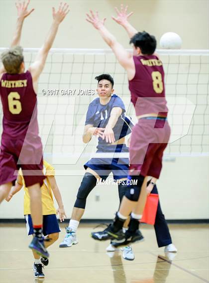 Thumbnail 3 in Inderkum @ Whitney photogallery.