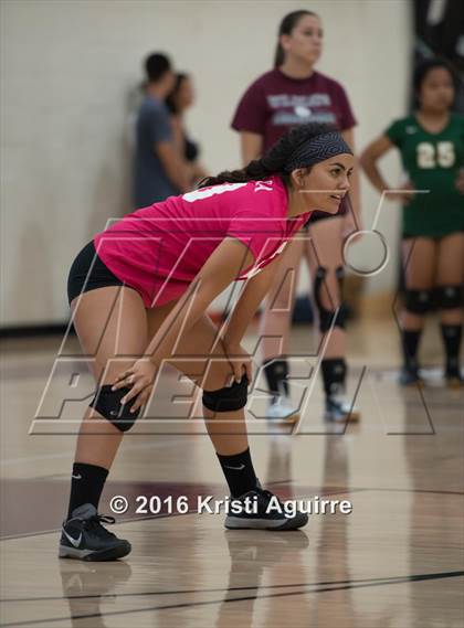 Thumbnail 1 in JV: Murrieta Mesa @ Paloma Valley photogallery.