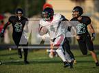 Photo from the gallery "Palm Bay @ Bayside"