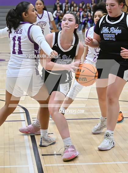 Thumbnail 2 in Gila Ridge @ North Canyon photogallery.