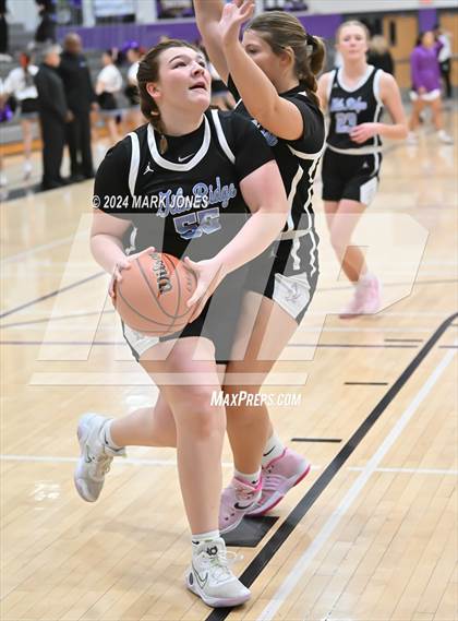 Thumbnail 2 in Gila Ridge @ North Canyon photogallery.