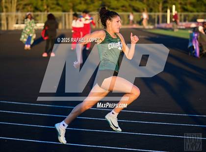 Thumbnail 3 in Dog Pound Invitational (200M) photogallery.