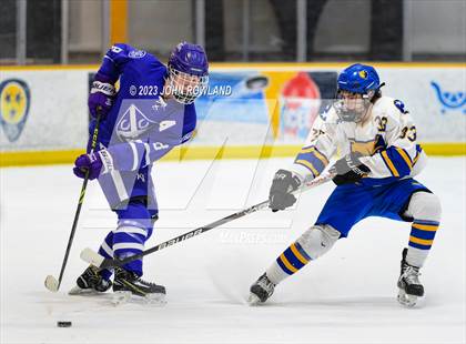 Thumbnail 1 in Brentwood vs Father Ryan photogallery.