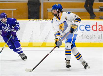 Thumbnail 3 in Brentwood vs Father Ryan photogallery.