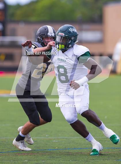 Thumbnail 1 in William Floyd @ Commack photogallery.