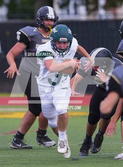 Thumbnail 1 in William Floyd @ Commack photogallery.