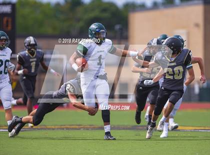 Thumbnail 1 in William Floyd @ Commack photogallery.