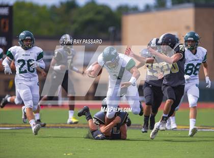 Thumbnail 1 in William Floyd @ Commack photogallery.