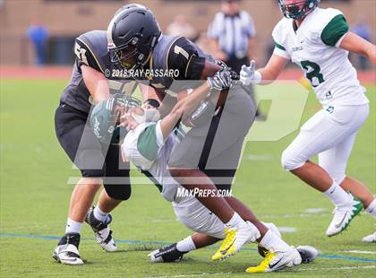 Thumbnail 3 in William Floyd @ Commack photogallery.