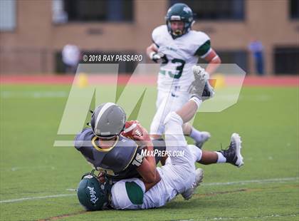 Thumbnail 2 in William Floyd @ Commack photogallery.