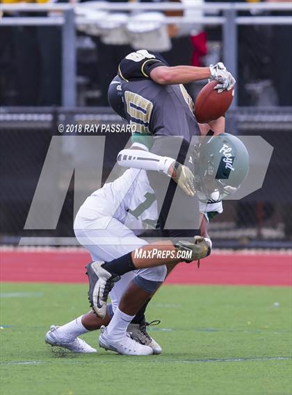 Thumbnail 3 in William Floyd @ Commack photogallery.