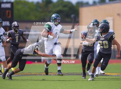 Thumbnail 3 in William Floyd @ Commack photogallery.