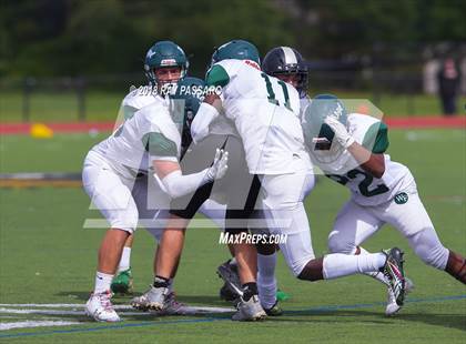 Thumbnail 1 in William Floyd @ Commack photogallery.