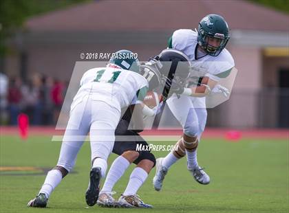 Thumbnail 1 in William Floyd @ Commack photogallery.