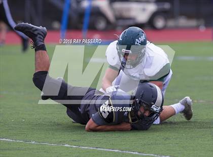 Thumbnail 2 in William Floyd @ Commack photogallery.
