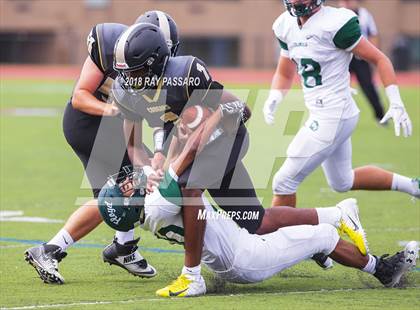 Thumbnail 2 in William Floyd @ Commack photogallery.